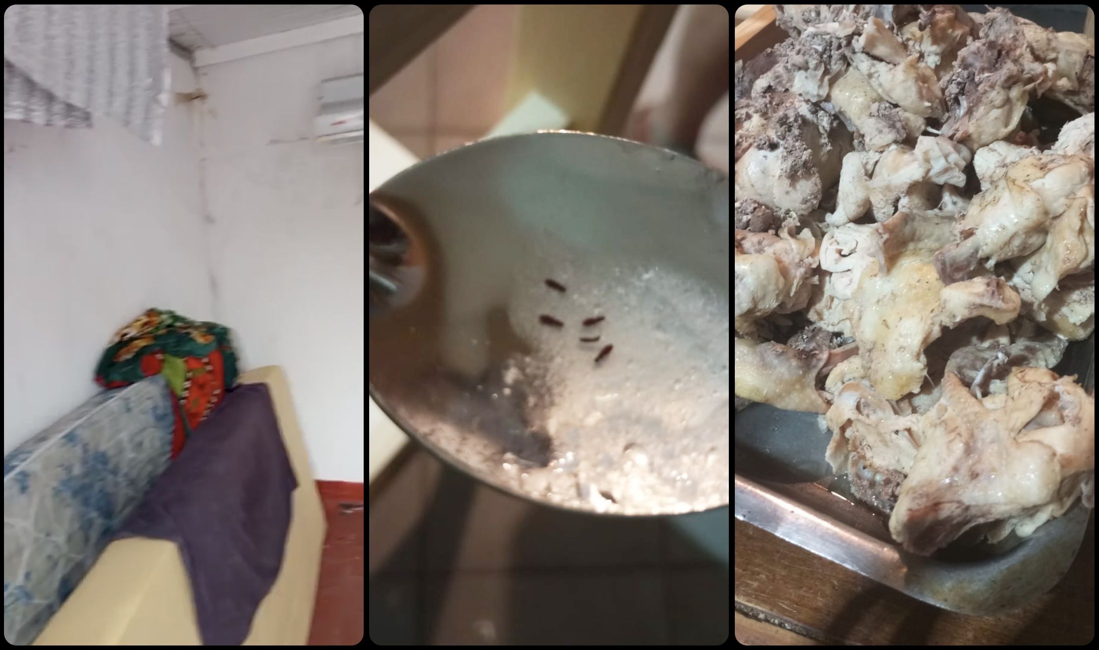 阿根廷足球青训黑幕：天赋工厂背后的残酷系统
